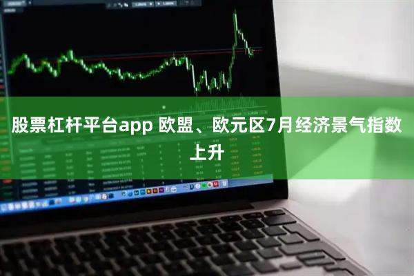 股票杠杆平台app 欧盟、欧元区7月经济景气指数上升